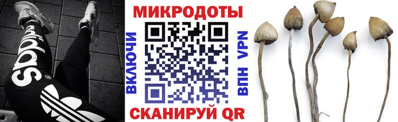 купить наркотик  Нижние Серги  darknet состав  Галлюциногенные грибы Cubensis 